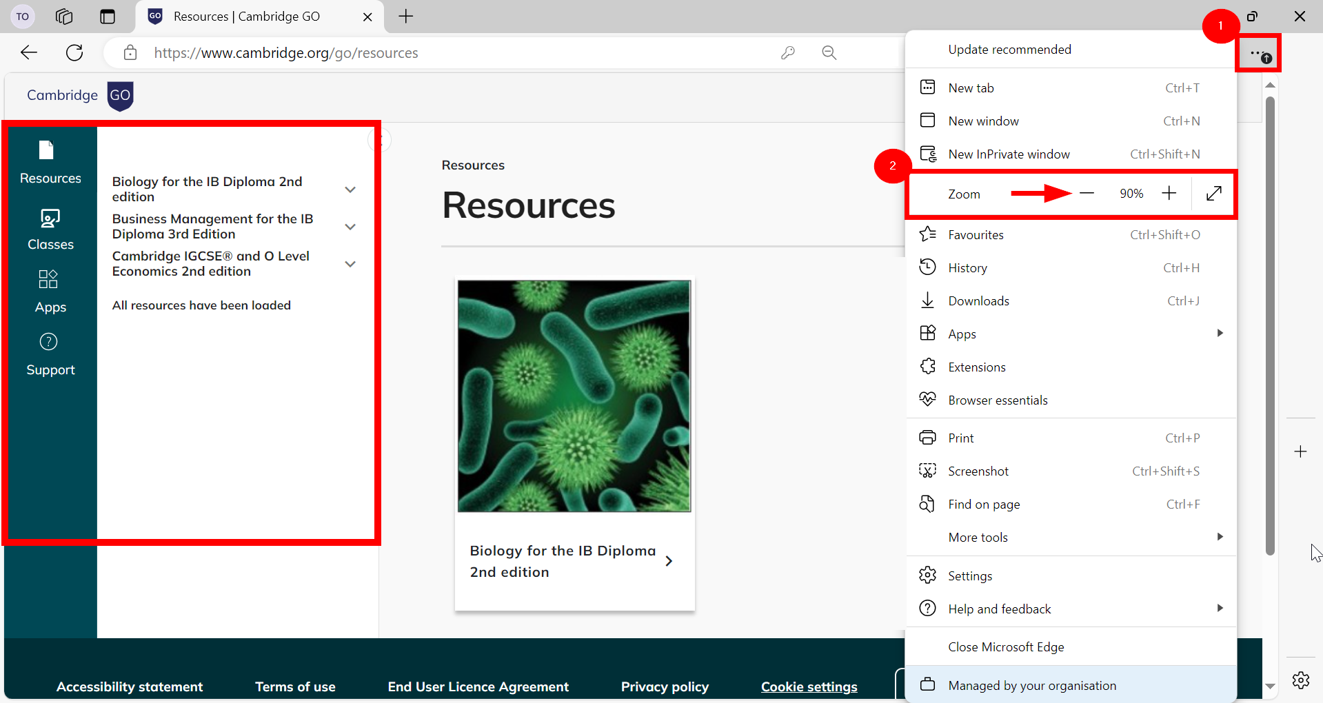 Zoom option on Microsoft Edge