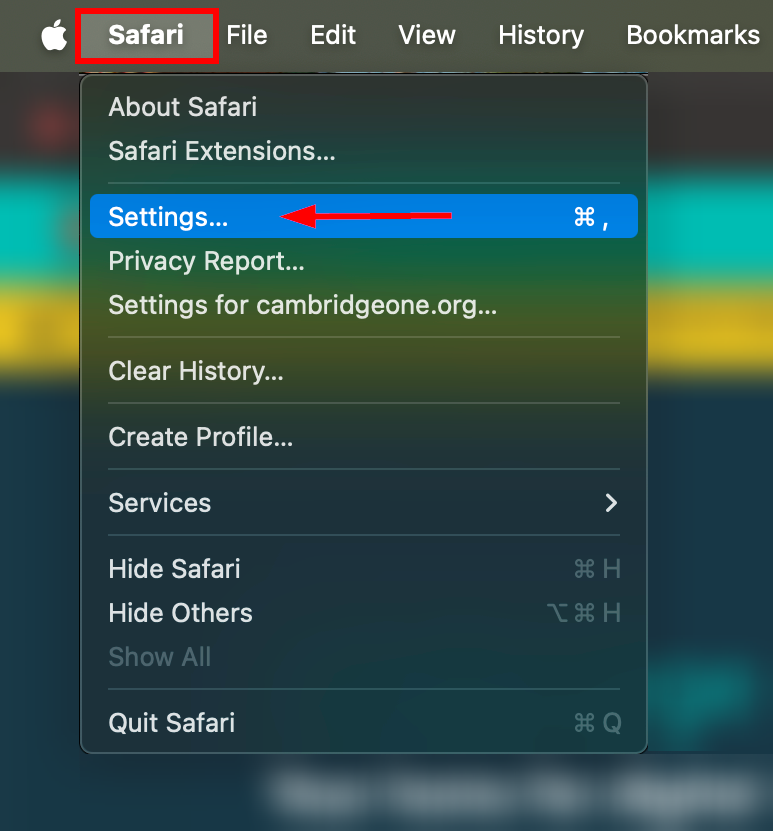 Screenshot highighting the 'Settings' option in the drop-down menu that appears when clicking 'Safari'