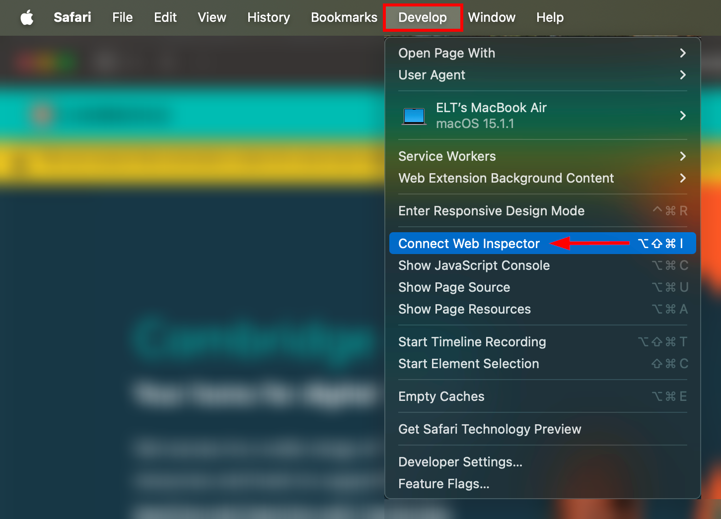 Screenshot showing the 'Develop' menu in Safari highlighting the 'Connect Web Inspector' option
