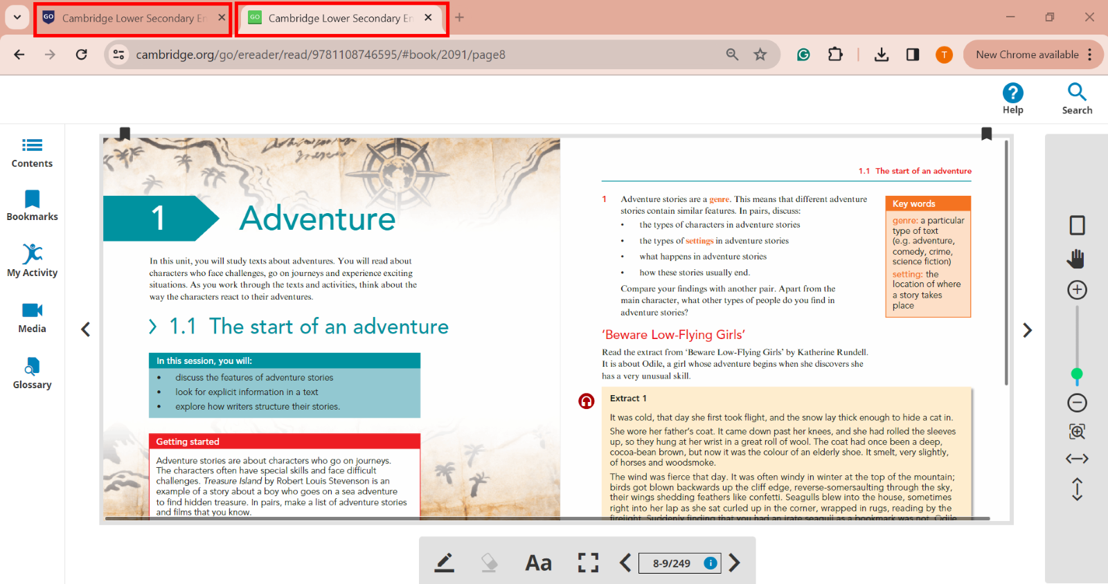Image showing that ebook opens in new tab